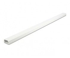 Delock kabelio kanalas su dangteliu lipnus 26 x 13 mm - ilgis 1 m baltas