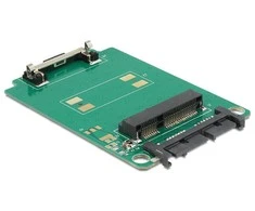 Delock Konverteris Micro SATA - mSATA (62520)