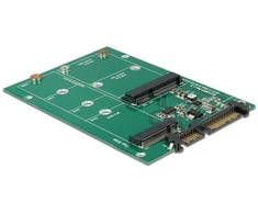 DELOCK keitiklis SATA 22 kontaktų > 1 x M.2 + 1 x mSATA