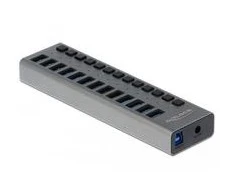 Delock External SuperSpeed USB Hub su 13 prievadų + jungikliu