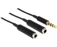 Delock skirstytuvo lizdo kištukas 3,5 mm 4 kontaktai> 2 x lizdas 3,5 mm 4 kontaktai 25 cm