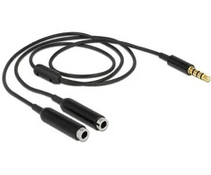 Delock skirstytuvo lizdo kištukas 3,5 mm 4 kontaktai> 2 x lizdas 3,5 mm 4 kontaktai 25 cm