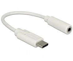 USB adapteris Delock USB-C – 3,5 mm baltas lizdas (65913)