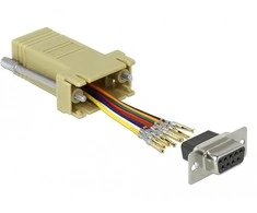 Delock Adapteris Sub-D 9 Pin Buchse zu RJ45 Buchse Montagesatz grau