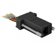 Delock Adapteris Sub-D 9 Pin Buchse zu RJ45 Buchse Montagesatz juodas