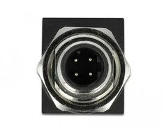 Delock Netzwerkadapter M12 4 Pin D-kodiert Stecker zu RJ45 Buchse