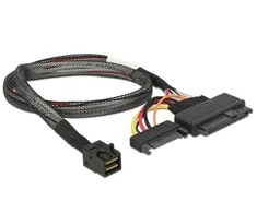 DeLOCK 84819 sąsajos kortelės/adapteris Vidinė U.2, SATA