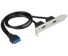 Delock 2 USB 3.0 prievadai (84836)