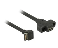 Delock USB 3.1 Gen2 kontaktų jungtis B raktas > 2x USB 3.1 Gen2 Type-A moteriškas 45 cm