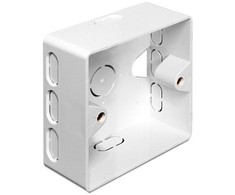 Delock Lizdas podtynkowe Keystone Balta (86128)