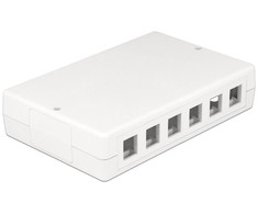 DeLOCK Keystone dėžė, 12 jungčių, plastikas, baltas / 86172