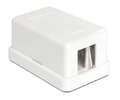 Delock KEYSTONE FX-MULTI JUNGČIŲ TST KORUSAS