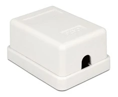 Delock DELOCK Netzwerk Dose RJ45 Buchse Cat6 ungeschirmt