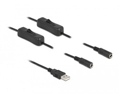 „Delock“ kabelis A tipo USB kištukas iki 2 x DC 5,5 x 2,1 mm lizdas su 1 m jungikliu
