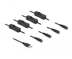 Delock Cable USB Type-A kištuku iki 4 x DC 5,5 x 2,1 mm močiutės su 1 m jungikliu