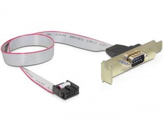 DELOCK Slotblech - Seriell 1xPort žemo profilio kabelis apytiksl. 40 cm
