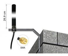 DLC DeLOCK 89529 radijo antena 3 dB 50 Ω