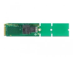 Delock M.2 PCIe valdiklis – Mini-SAS HD SFF-8643 (63145)