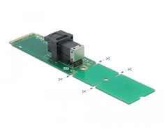 Delock M.2 PCIe valdiklis – Mini-SAS HD SFF-8643 (63145)