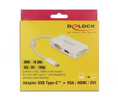 DELOCK C tipo USB adapteris > VGA / HDMI / DVI moteriškas baltas