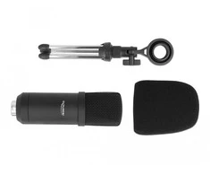 Delock Professional podcasting mikrofonas su XLR jungtimi ir 3 kontaktų lizdu
