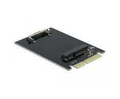 Delock SATA 22 Pin Stecker zu mSATA Slot Adapteris