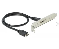 „Delock“ lizdo plokštė su 1 x USB C tipo prievadu