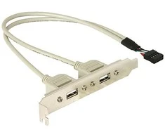 DELOCK lizdo laikiklis vidinis USB 5 kontaktai iki 2x USB2.0 išorinis