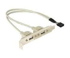 DELOCK lizdo laikiklis vidinis USB 5 kontaktai iki 2x USB2.0 išorinis