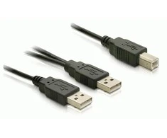 LAIDAS USB-A(M)+MAITINIMO USB-A(M)->USB-B(M) 2.0 1.8M JUODA DELOCK