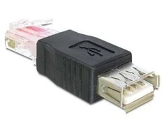 Delock Adapteris USB lizdas > RJ45 kištukas