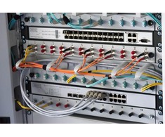 Assmann Electronic Assmann elektroninis DIGITUS kabelių valdymo skydelis, skirtas 483 mm 19 colių spintelėms