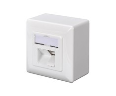 Assmann Electronic DIGITUS CAT 5e sieninis lizdas ekranuotas 2x RJ45 8P8C LSA spalvos grynas baltas paviršinis montavimas