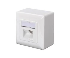 Assmann Electronic DIGITUS CAT 5e sieninis lizdas ekranuotas 2x RJ45 8P8C LSA spalvos grynas baltas paviršinis montavimas