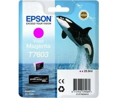 Epson T7603 | Rašalo kasetė | Magenta
