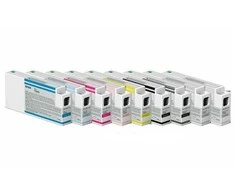 Epson T8009 Originalus Pilka 1 vnt