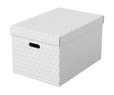 Leitz Esselte Esselte 628286, Sandėliavimo dėžė, Baltas, Stačiakampis, Kartonas, Raštas, Vidinis