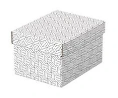 Daiktadėžė ESSELTE, su dangteliu, 200x150x255, balta-pilka (3vnt./pak.)