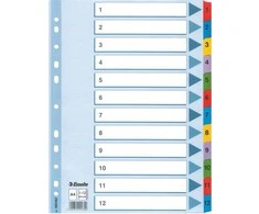 Kartoniniai spalvoti skiriamieji lapai ESSELTE, 1-12, A4