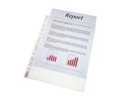 Esselte 4848, 210 x 297 mm (A4), Transparent, Polypropylene (PP), 10 g