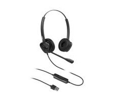 Ausinės Fanvil HT302-U (HT302-U)