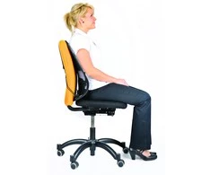 Nugaros atrama Fellowes Professional Series Mesh Back Support