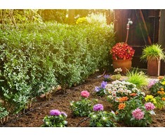 Gardena Lašelinio drėkinimo rinkinys daržovių/augalų eilėms (15m)