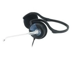 KYE 31710146100 Genius Ausinės HS-300N (su mikrofonu)