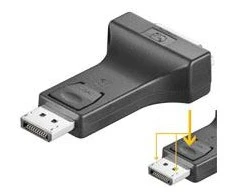Wentronic AV adapteris DisplayPort – DVI-I adapteris (51720)