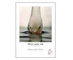 Philips Hahnemühle Foto veidrodis 61cm x 30m / 260g (HAH10643171)