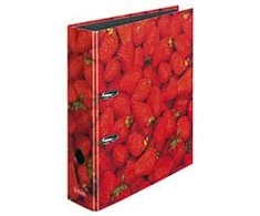 Segregatorius Herlitz A4 80mm raudonos (10485126)