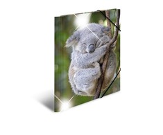 Herma Folder A4 blizgus koala