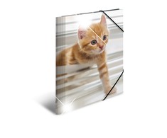 Herma Folder A4 Blizgus Katze