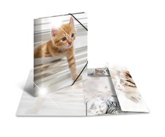 Herma Folder A4 Blizgus Katze